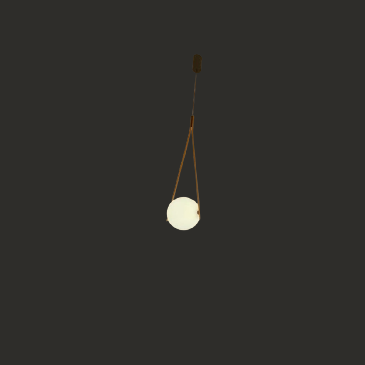 Modern Globe Pendant Light with Strap Design 