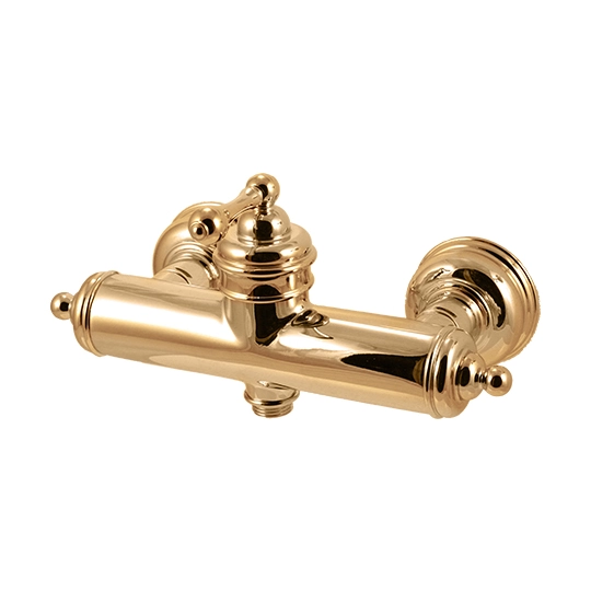 Shower Mixer Body